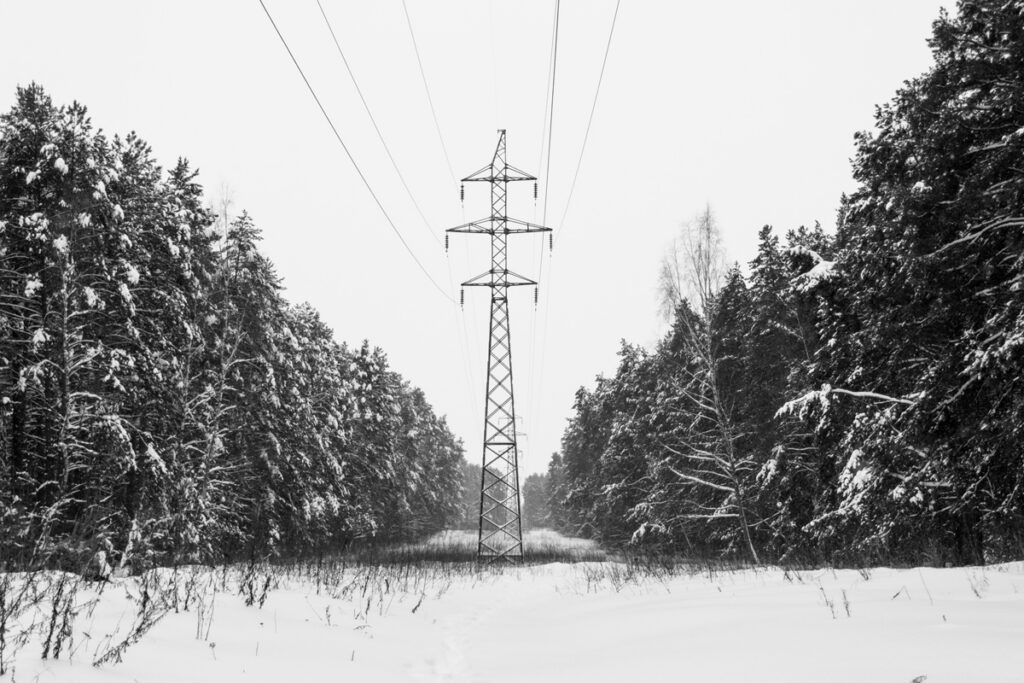 Power lines in a wintry forest setting