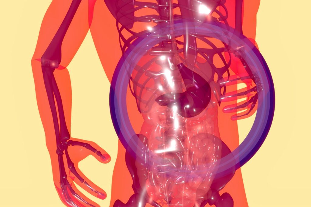 Illustration of human anatomy focused on the gut