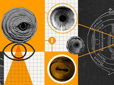 These Animal Eyes Look Completely Different — Here’s Why