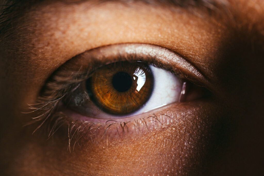 Close-up of human eye