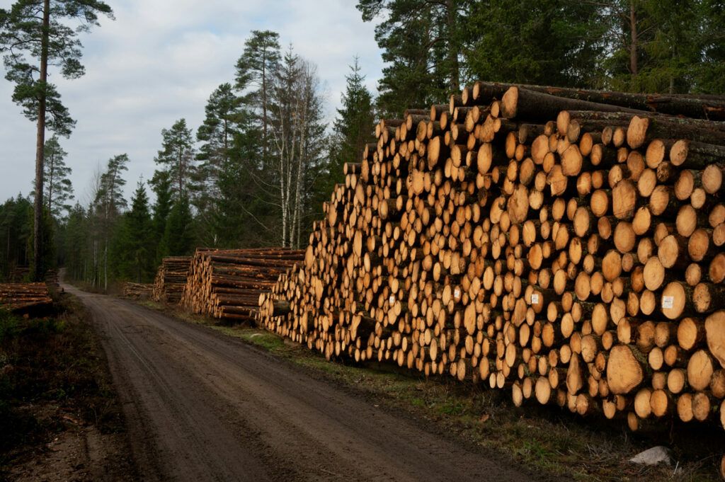 Timber