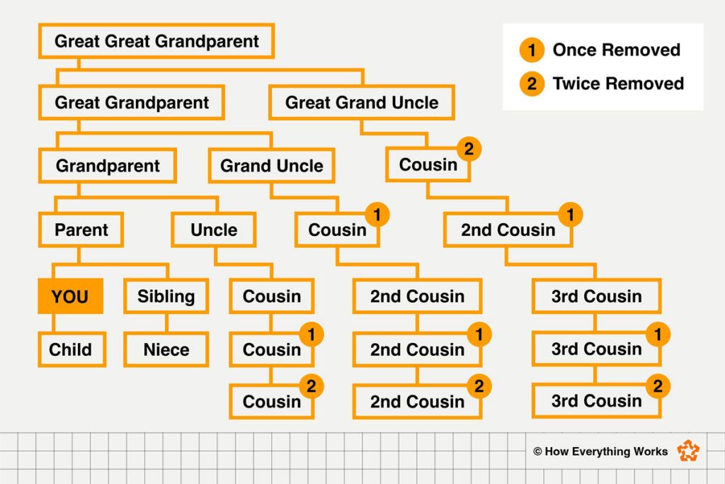 A family tree showing the relationship of cousins and grandparents