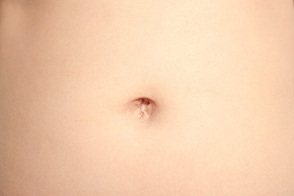 Close-up of stomach