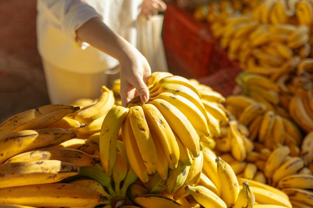 Person holding a banana bunch