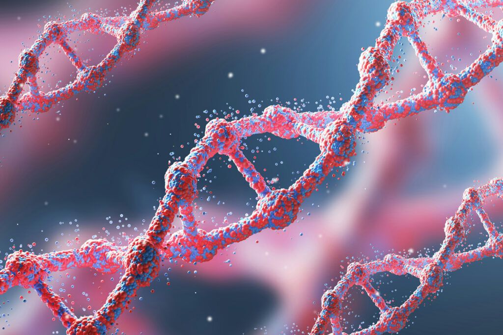 DNA