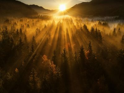 All Your Daylight Saving Time Questions, Answered