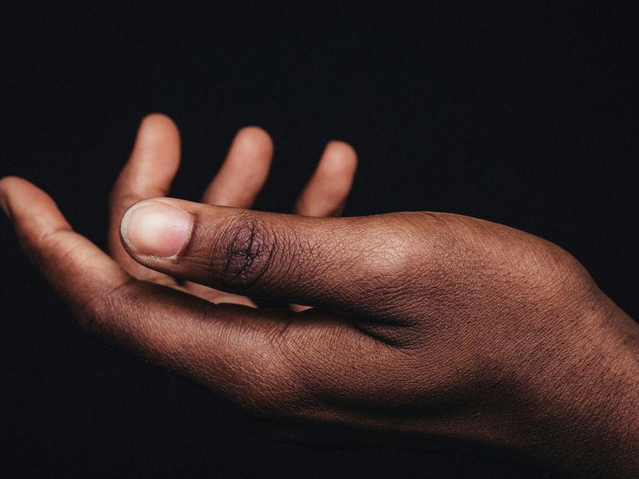 Every Bone in Your Hand, Explained