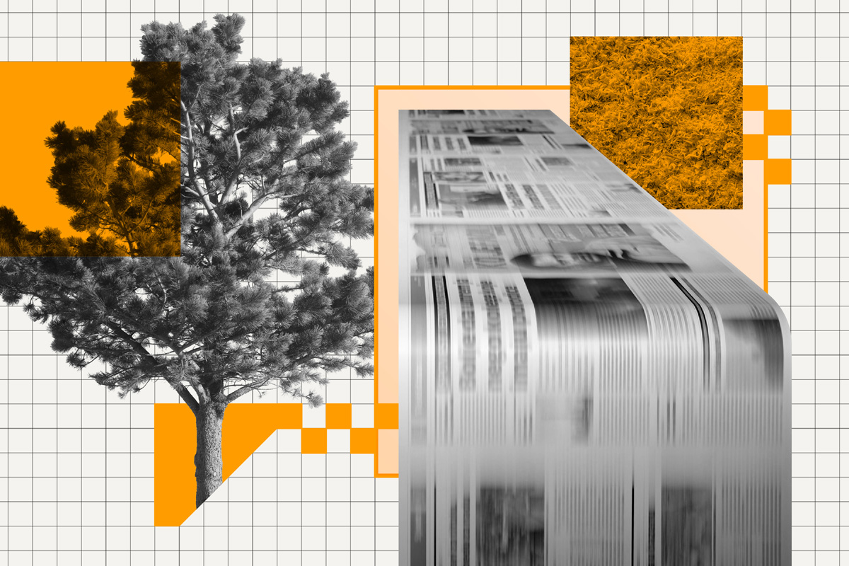 Collage showing the newspaper process