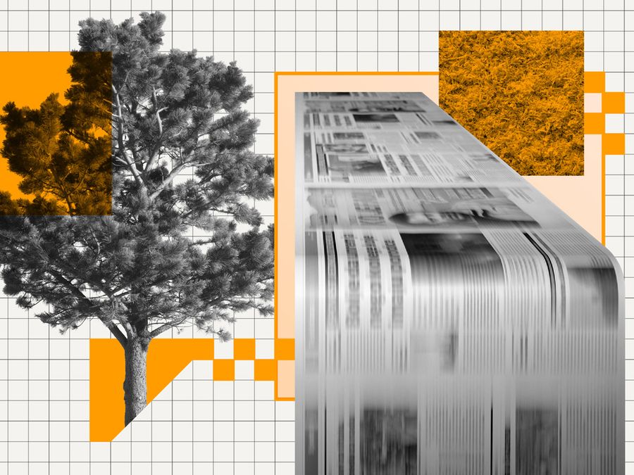 How a Newspaper Goes From a Tree to Your Doorstep, Step-by-Step