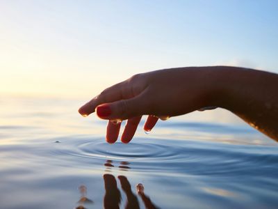 The States of Matter, Explained